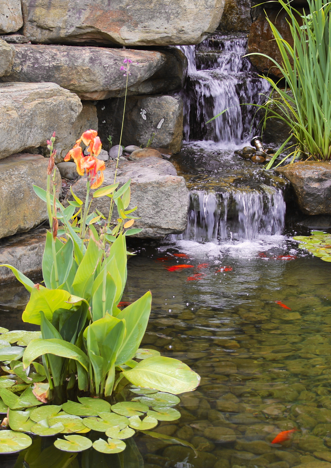 Water Movement Water Movement