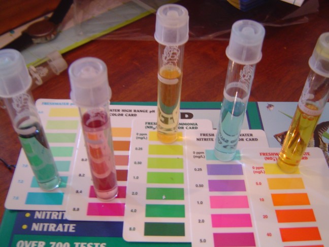 aquarium ph test kit
